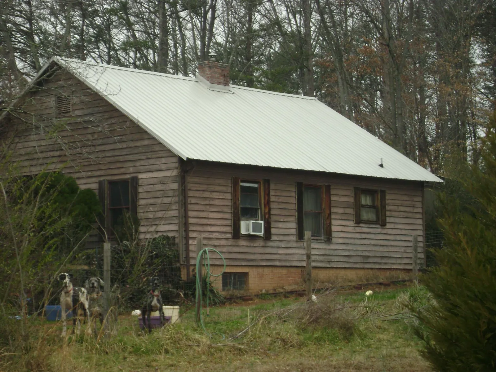 White metal roof on an old wood sided farmhouse, from a Asphalt Shingle Roof Repair job in Harpursville